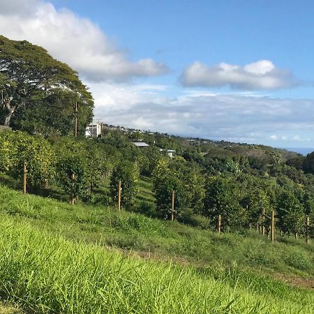 Hotel Nohokai At Kona Joe Coffee Farm Kealakekua Esterno foto